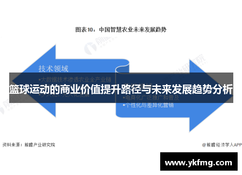篮球运动的商业价值提升路径与未来发展趋势分析