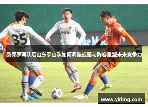 桑德罗离队后山东泰山队如何调整战略与阵容重塑未来竞争力 桑德罗离队后山东泰山队如何调整战略与阵容重塑未来竞争力