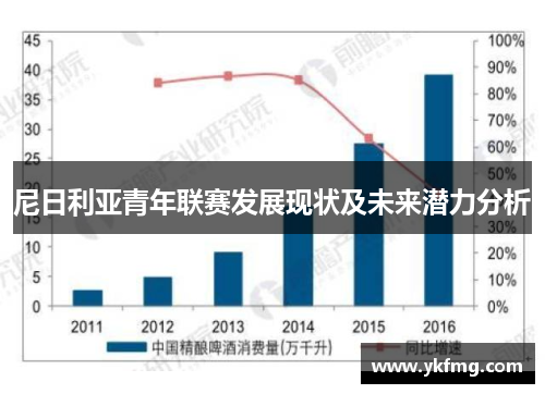 尼日利亚青年联赛发展现状及未来潜力分析 尼日利亚青年联赛发展现状及未来潜力分析