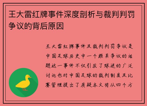 王大雷红牌事件深度剖析与裁判判罚争议的背后原因